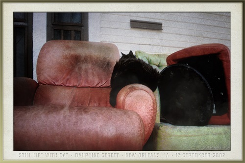 Still Life w_Cat_original_09122002_rev_05072023.jpg